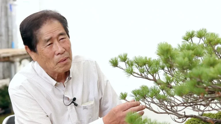 Bonsai World Guide — Masahiko Kimura